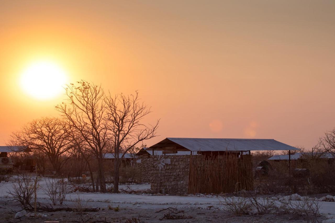 Etosha Trading Post Campsite أوكاوكويجو المظهر الخارجي الصورة